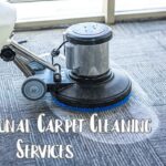 Professional Carpet Cleaning Services