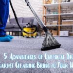 5 Advantages of Chemical Dry Carpet Cleaning Bring to Your Home